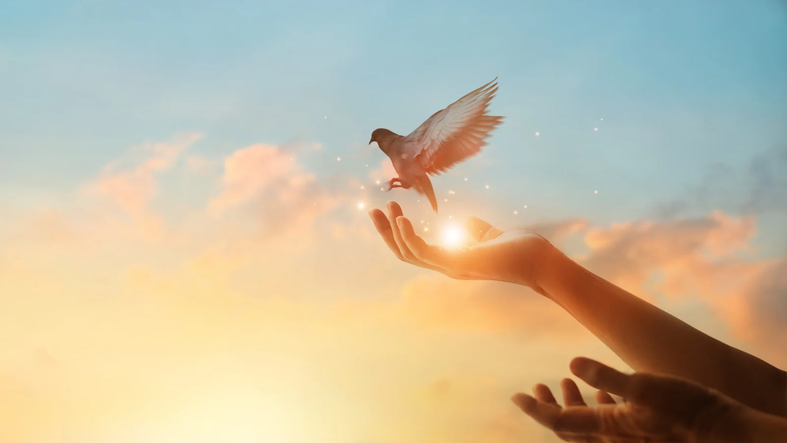 What is Forgiveness?